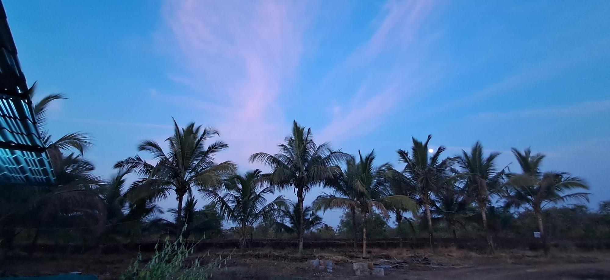Arpita Farmstay Mālvan Esterno foto