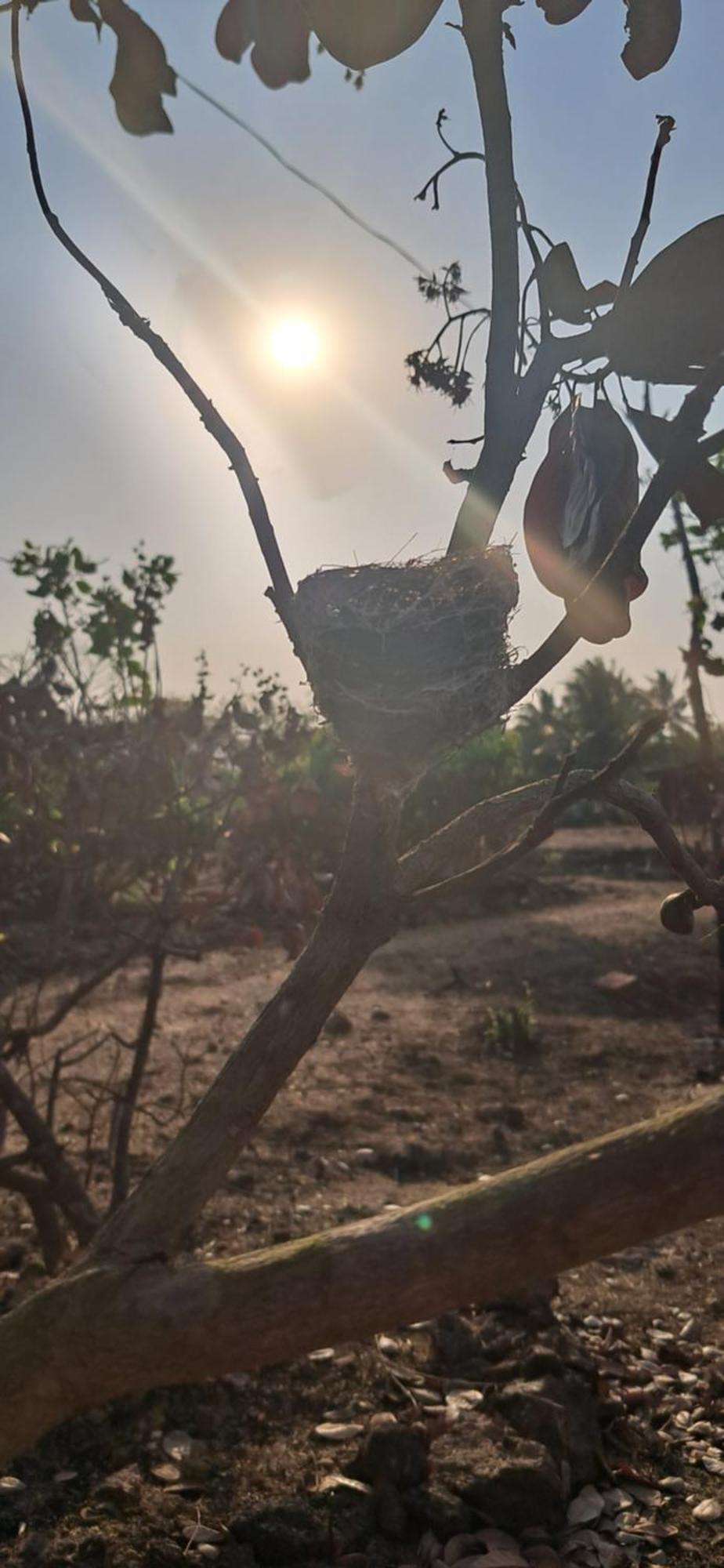 Arpita Farmstay Mālvan Esterno foto