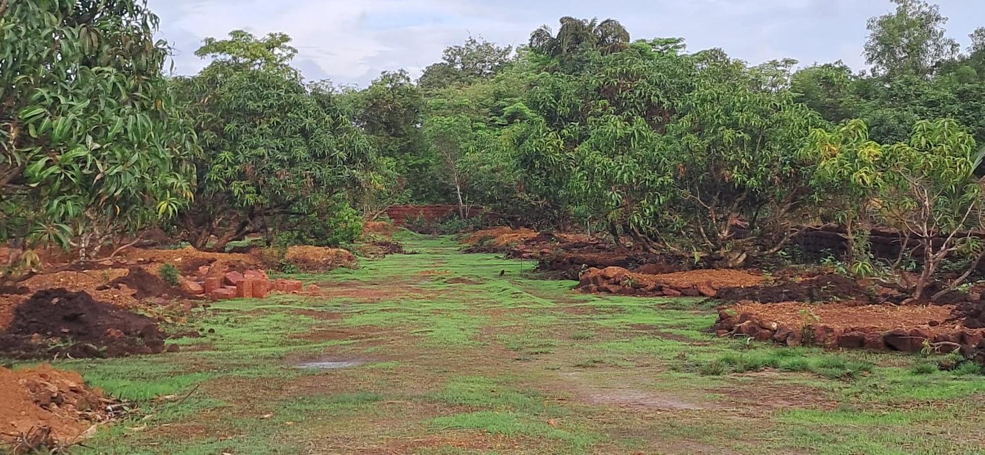 Arpita Farmstay Mālvan Esterno foto