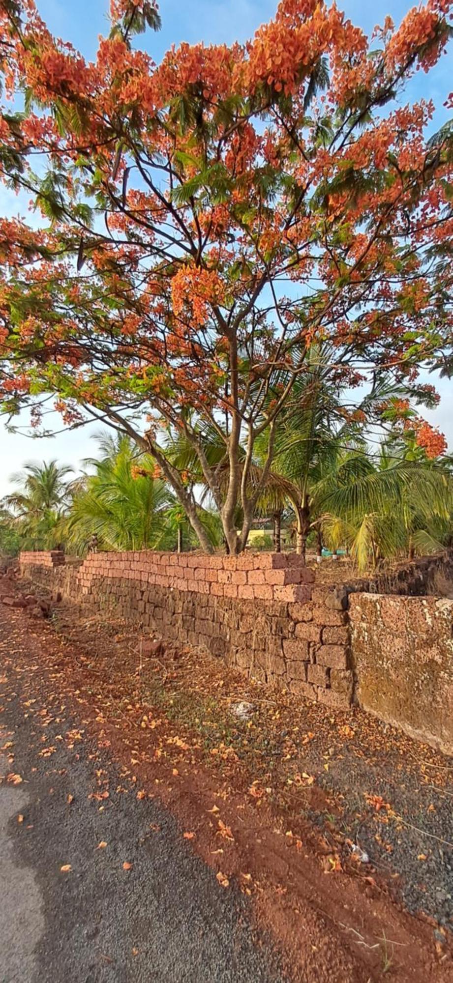 Arpita Farmstay Mālvan Esterno foto