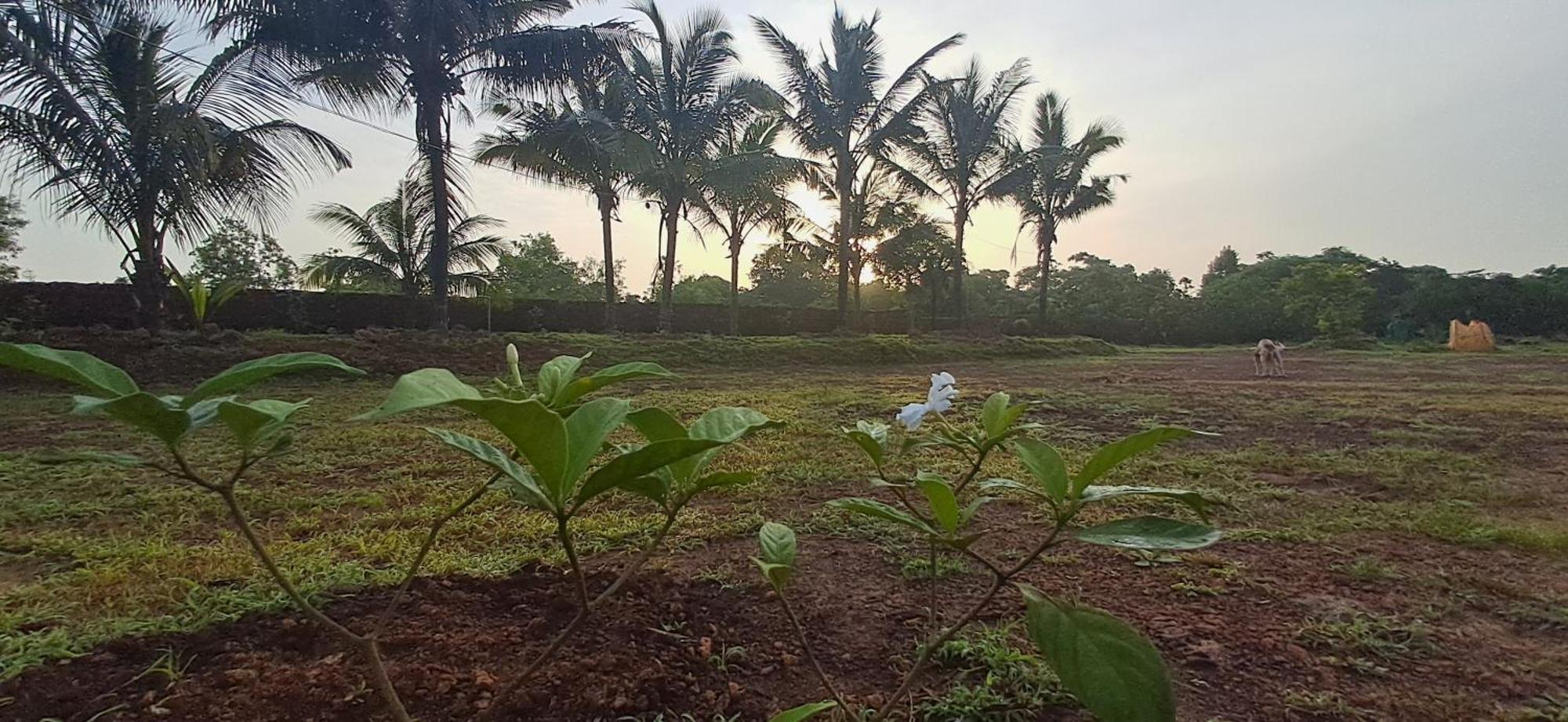 Arpita Farmstay Mālvan Esterno foto