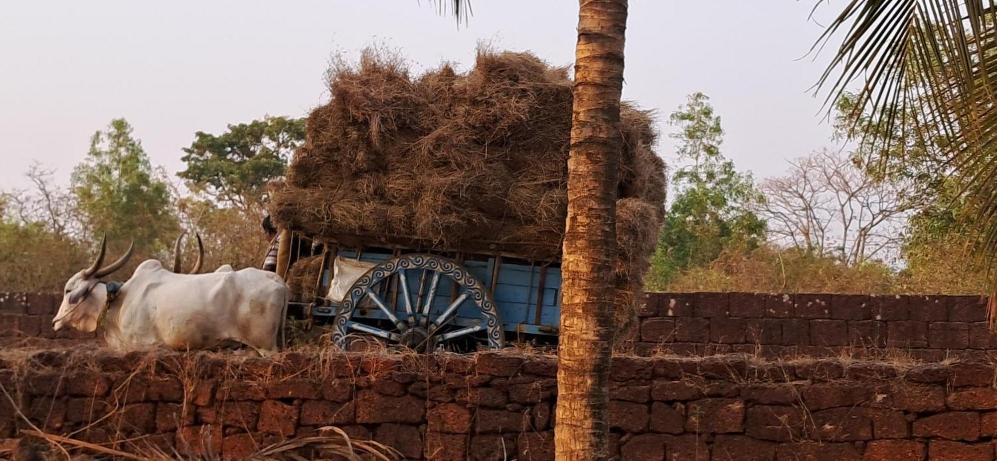 Arpita Farmstay Mālvan Esterno foto