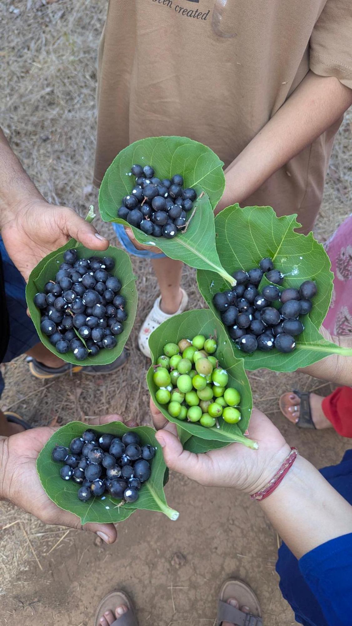 Arpita Farmstay Mālvan Esterno foto